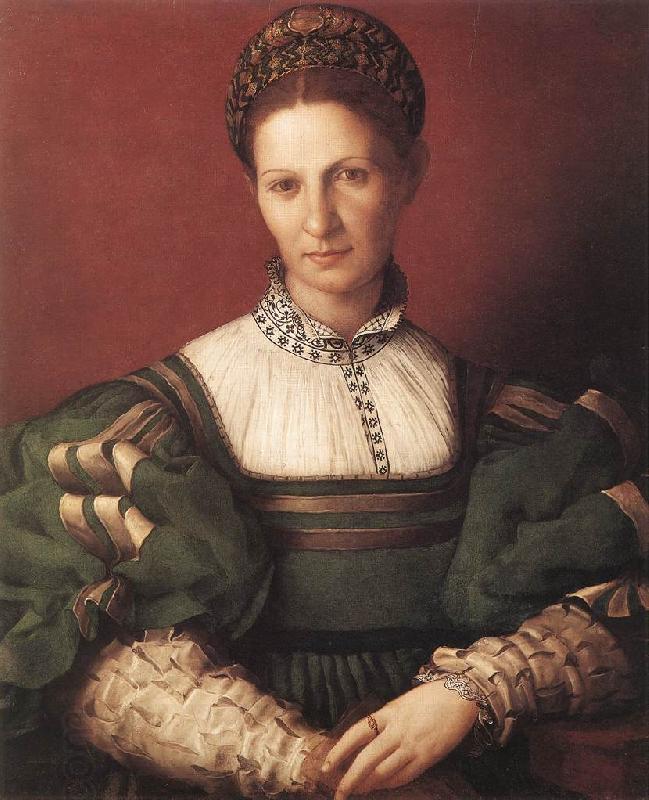BRONZINO, Agnolo Portrait of a Lady in Green China oil painting art